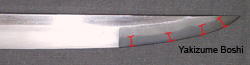 yakizume boshi